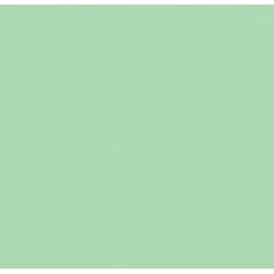 Tecido Tricoline Silky Lisa cor - 5789 (Menta)